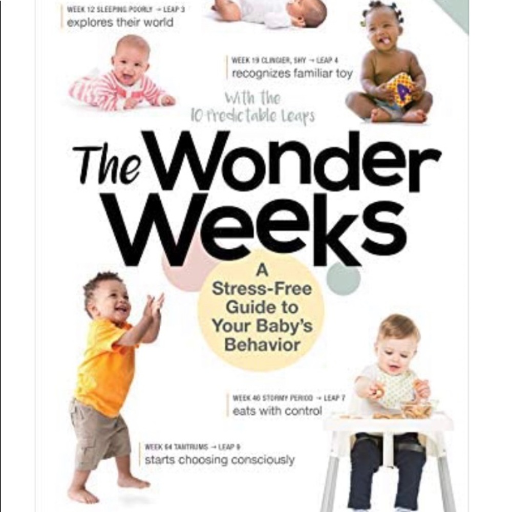 The Wonder Weeks Book